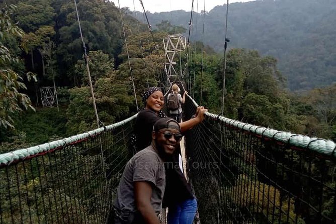 1 Day Canopy Walk Adventure in Nyungwe Forest National Park - The canopy walk is the main event