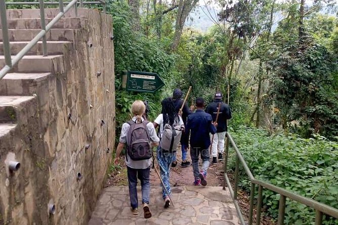 1 Day Canopy Walk Adventure in Nyungwe Forest National Park - Lunch at Gisakura before the forest walk