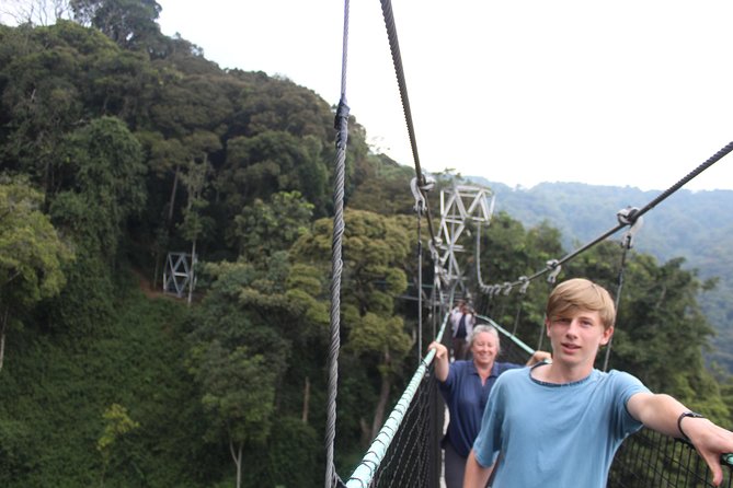 1 Day Canopy walk way in Nyungwe Natioinal park - A 5am start from Kigali