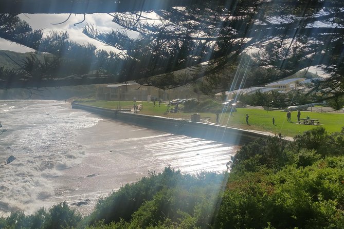12 Apostles and Otway Fly Zipline Day Trip from Melbourne - Why this Great Ocean Road day is different