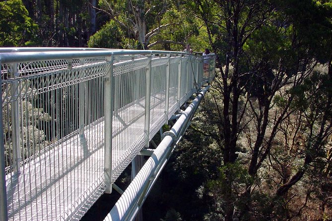 12 Apostles and Otway Fly Zipline Day Trip from Melbourne - The Twelve Apostles boardwalk and the helicopter option