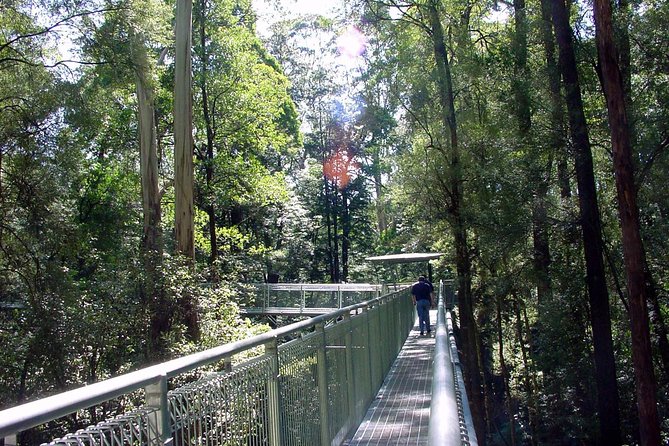 12 Apostles and Otway Fly Zipline Day Trip from Melbourne - Lunch at Yatzies, with food paid separately