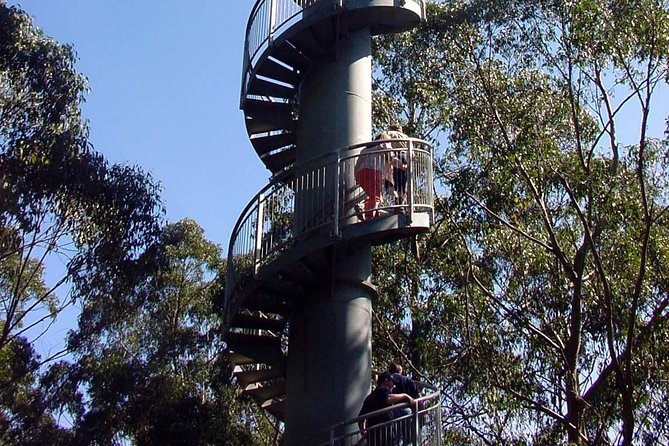 12 Apostles and Otway Fly Zipline Day Trip from Melbourne - Three hours at Otway Fly Adventure