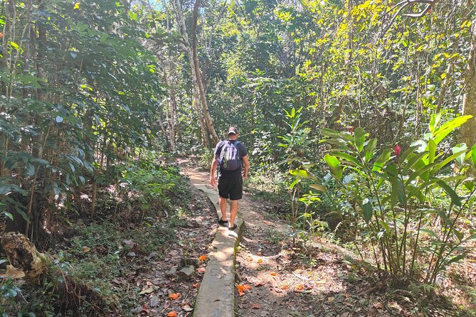 16 Lines Zipline, Cave, Hiking & Biausevu Waterfall Combo Tour - Transport, timing, and the early 7:00 a.m. start