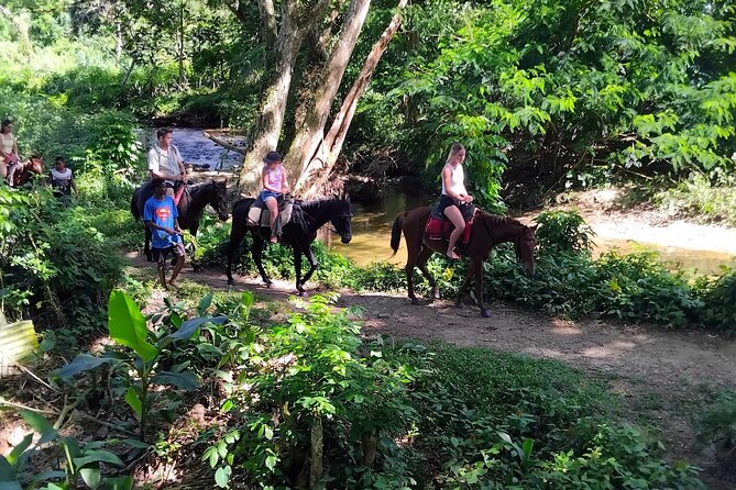 16 Lines Zipline, Cave, Hiking & Biausevu Waterfall Combo Tour - Who will get the most from this tour