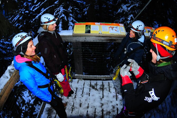 2 Hour Late Afternoon Winter Zipline Adventure - From Carleton Lodge to the Forest Course