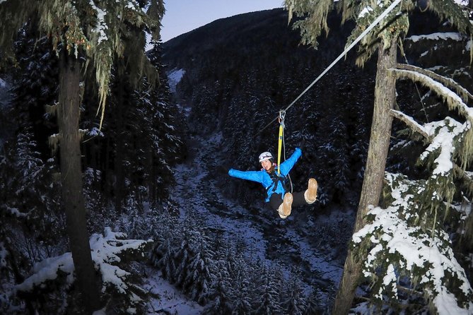 2 Hour Late Afternoon Winter Zipline Adventure - Four Lines, Four Chances to Settle In