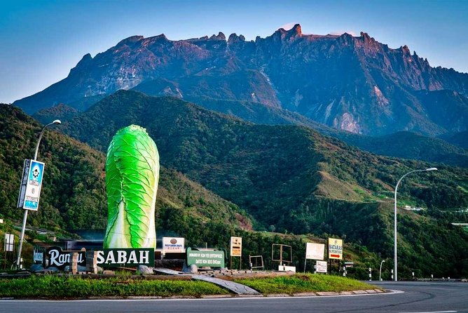 2d1n Kinabalu Park & Poring Canopy Walk & Desa Cow Farm Tour - Poring Hot Springs brings the first day’s main pause