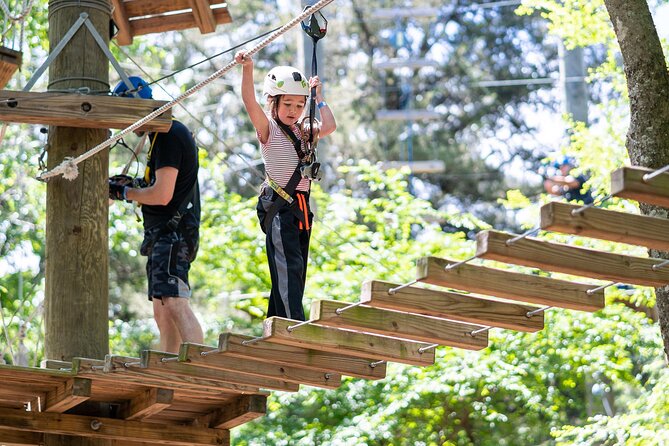 3-Hour Ropes Course & Zip Line Adventure - Check In, Gear Up, and Learn the System
