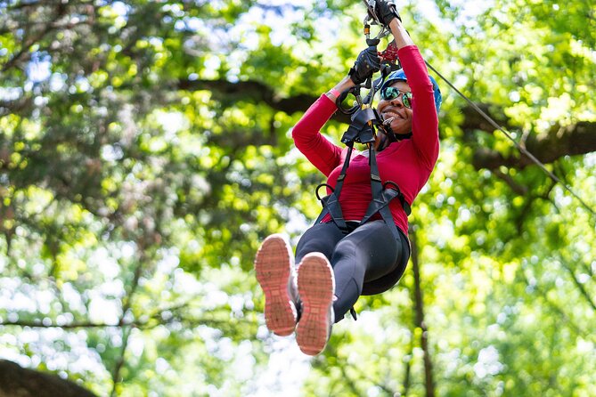 3-Hour Ropes Course & Zip Line Adventure - Is $44.76 Good Value?
