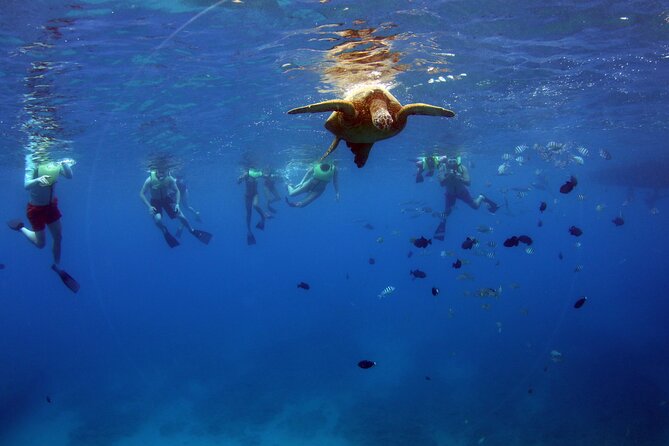 3 Zipline Adventure and 3.5 hour Afternoon Snorkel Cruise - A 3.5-hour cruise from Ko Olina Marina