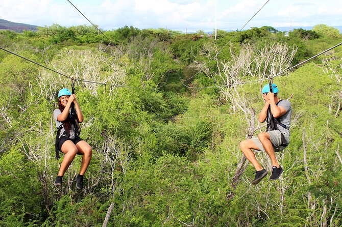 3 Zipline Adventure at Coral Crater with Optional Waikiki Shuttle - Who should book this experience?