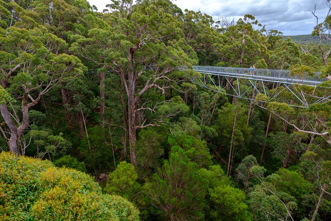 4 Day Albany Margaret River, Valley of the Giants Tour from Perth - What the $1,003.42 price covers