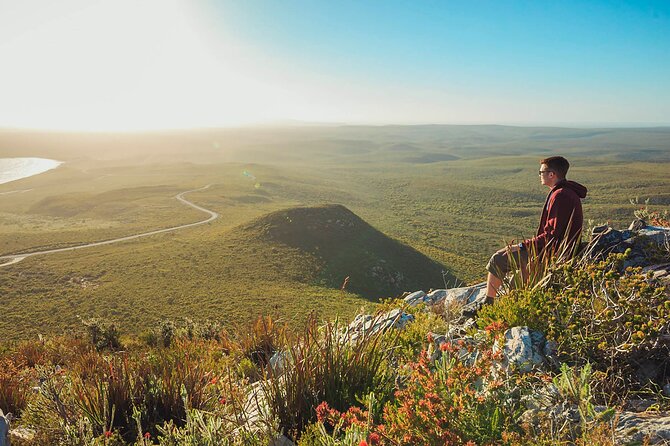 4 Day Albany Margaret River, Valley of the Giants Tour from Perth - Who will enjoy it, and who may not