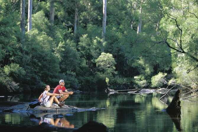4 Day Albany Margaret River, Valley of the Giants Tour from Perth - Practical advice before you book