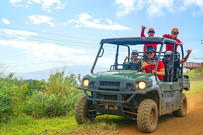 4 Dual-Zipline Mountain Adventure in Maui - What happens during the 2.5-hour visit