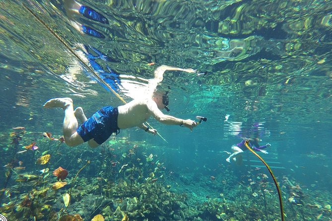 4 Private Cenotes, Zip-Lines, Canoes & Mayan Village with Delicious Lunch - Guides can make or break the day
