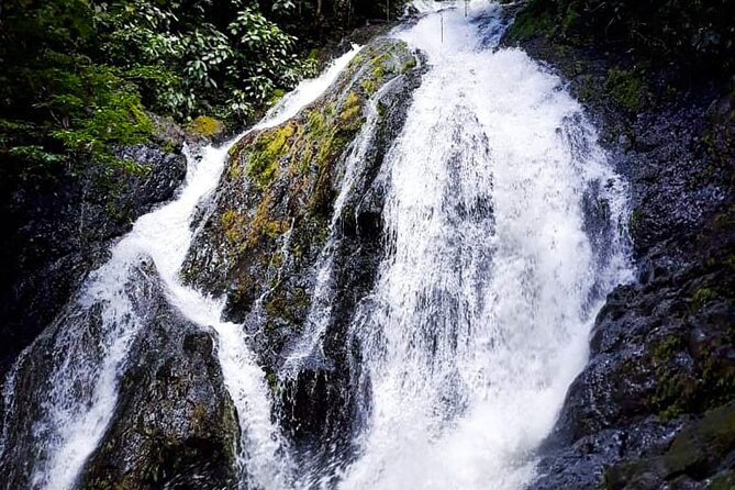 5 Hour Off-Road ATV+ Zipline+ Waterfall Rappelling+ Tractor Jungle Tour - Food, water, and pacing