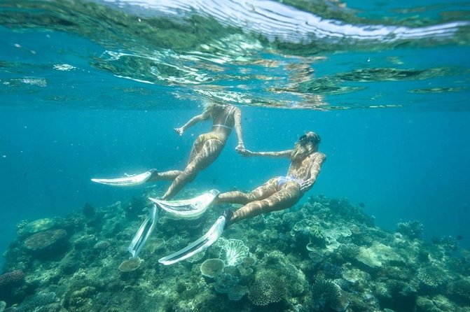5-in-1 Adventure in Cancun: ATVs, Ziplines, Speed Boat, Snorkel and Cenote Swim - Ziplines and cenote water time