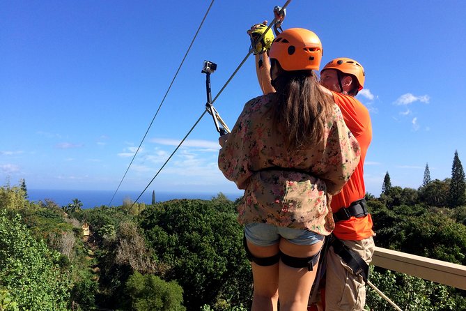 5 Line Jungle Zipline Eco Adventure - Key points at a glance