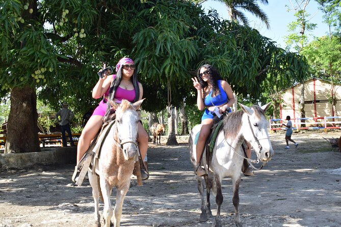 5 tours in 1 (Eco Farm/Horseback/City Tour/Buggy/Zipline) - The coffee and cocoa farm in Anamuya