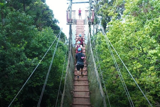 6 Dual-Zipline Mountain Adventure in Maui - Meeting point and timing