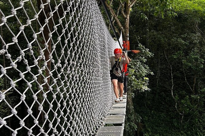 7 Hour Sticky Waterfall and Zipline Adventure - The zipline: speed, height, and simple thrills