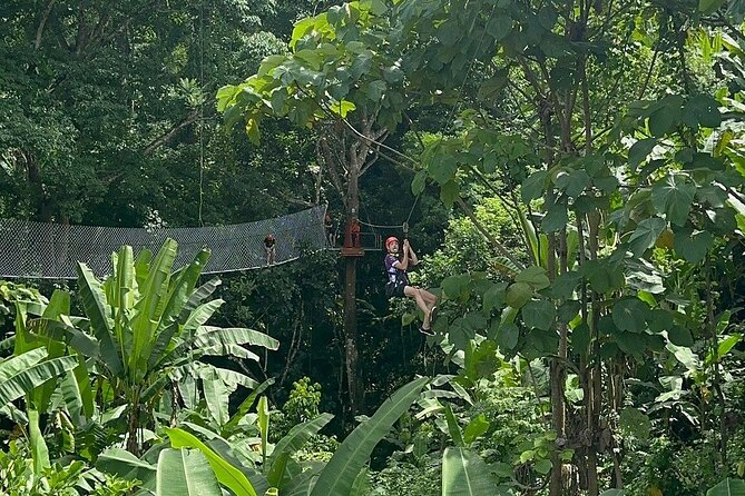 7 Hour Sticky Waterfall and Zipline Adventure - A morning above the Mae Taeng area