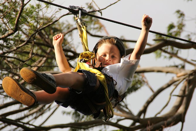 7-Line Maui Zipline on the North Shore - Who will enjoy this most?