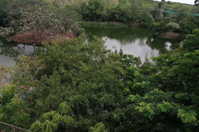 Accra Zoo, Canopy Walk and Botanical Gardens Private Tour - Why this compact Accra outing works