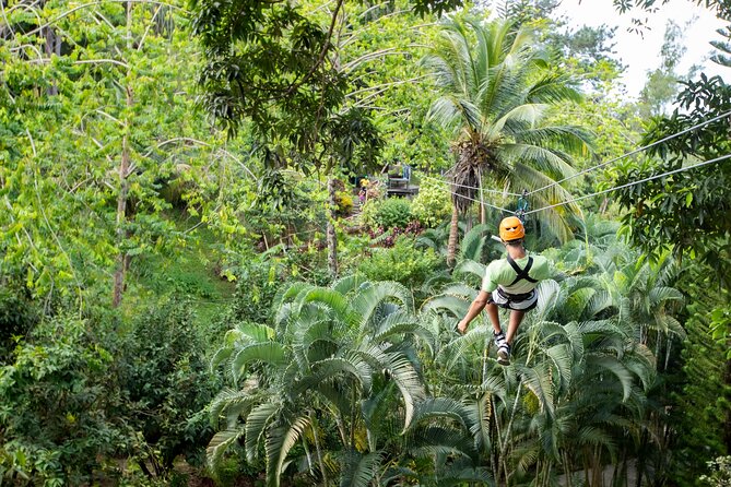Adrena-Line Zipline, St. Lucia - Safety is the strongest reason to try it