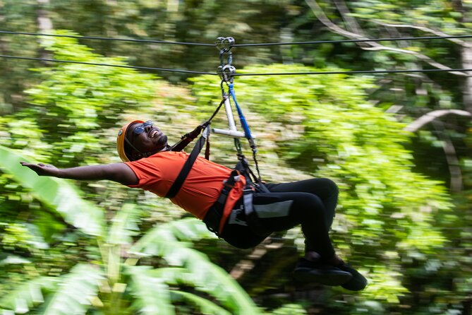 Adrena-Line Zipline, St. Lucia - What the $63.75 price does and does not cover