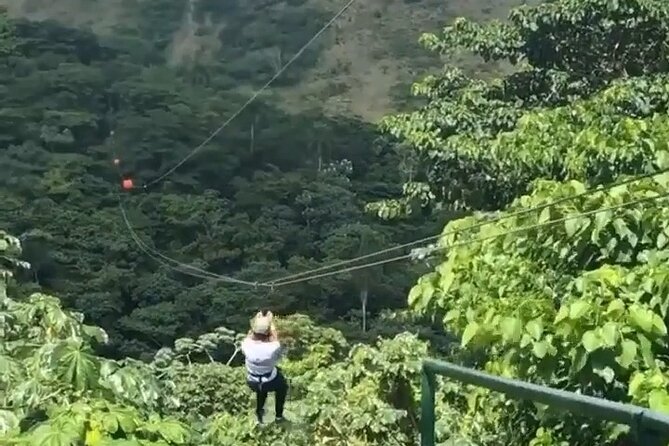 Adrenaline Total: Zipline Tour in Punta Cana - What the Three-Hour Visit Feels Like