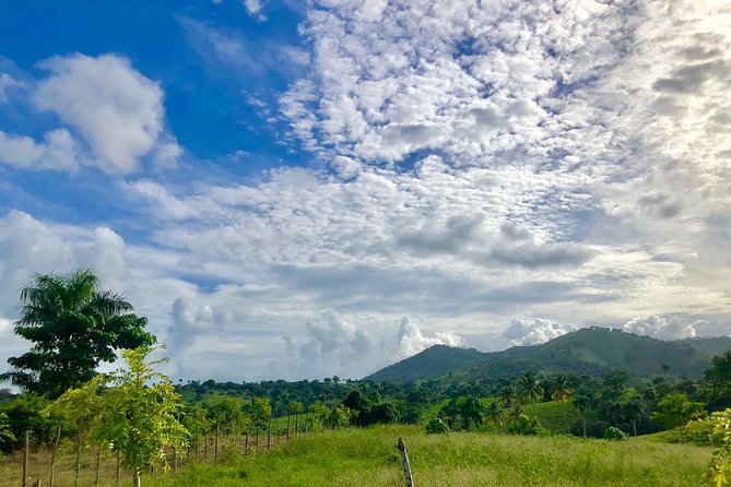Adventure Bundle: Monkeyland, Ziplines & Buggies Punta Cana - Meeting the squirrel monkeys at Monkeyland