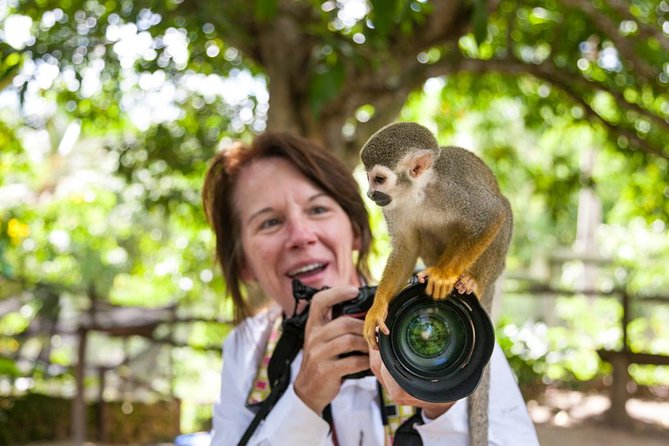 Adventure Bundle: Monkeyland, Ziplines & Buggies Punta Cana - Buggies, mud, and the Anamuya River