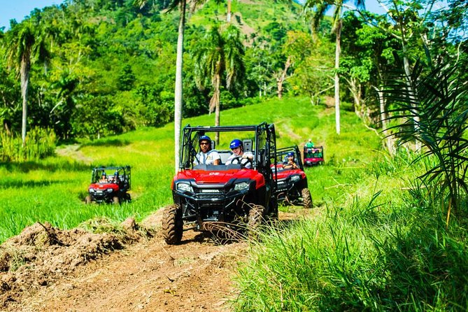 Adventure Bundle: Monkeyland, Ziplines & Buggies Punta Cana - Lunch at Maria’s home