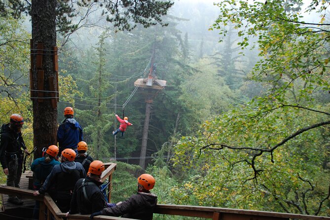 Adventure Parks & Zipline Tour - Key points to know before you book