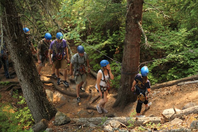 Adventure Parks & Zipline Tour - From Skagway’s port to the forest course