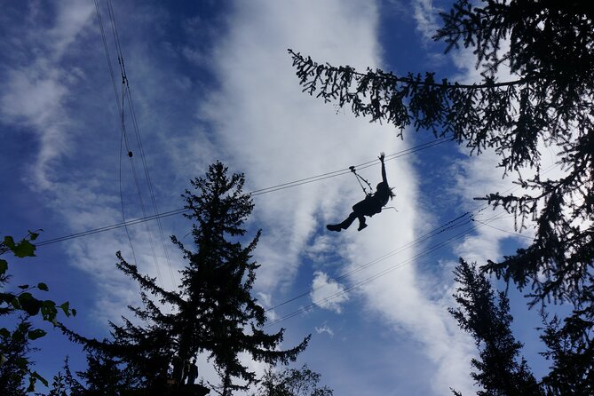 Adventure Parks & Zipline Tour - Price, timing, and practical value