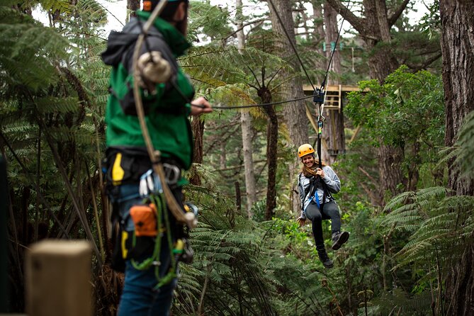 Adventurous Zipline Tour in Coromandel - Key points to know before you book