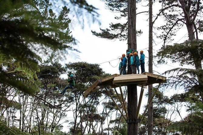 Adventurous Zipline Tour in Coromandel - The railway ride sets this tour apart