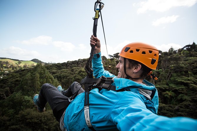 Adventurous Zipline Tour in Coromandel - Eight ziplines through native forest