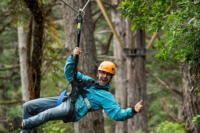 Adventurous Zipline Tour in Coromandel - Barry Brickell and the making of Driving Creek