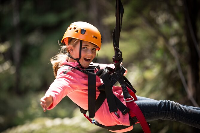Adventurous Zipline Tour in Coromandel - What the views are really like