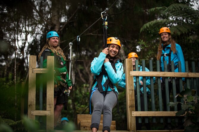 Adventurous Zipline Tour in Coromandel - Safety and comfort for first-timers