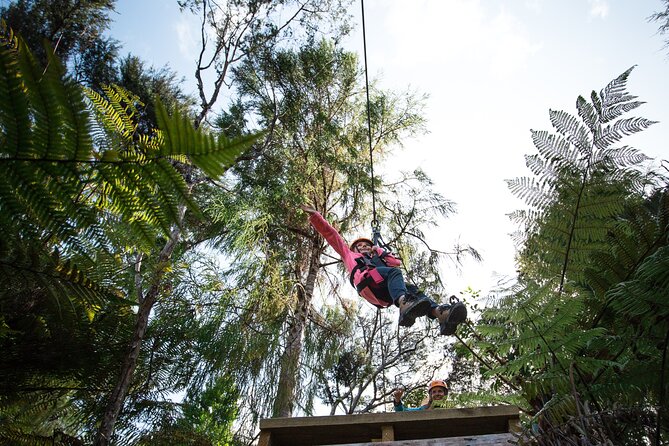 Adventurous Zipline Tour in Coromandel - Who will enjoy this most?
