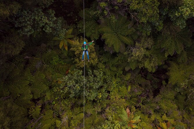 Adventurous Zipline Tour in Coromandel - Getting fitted for the course