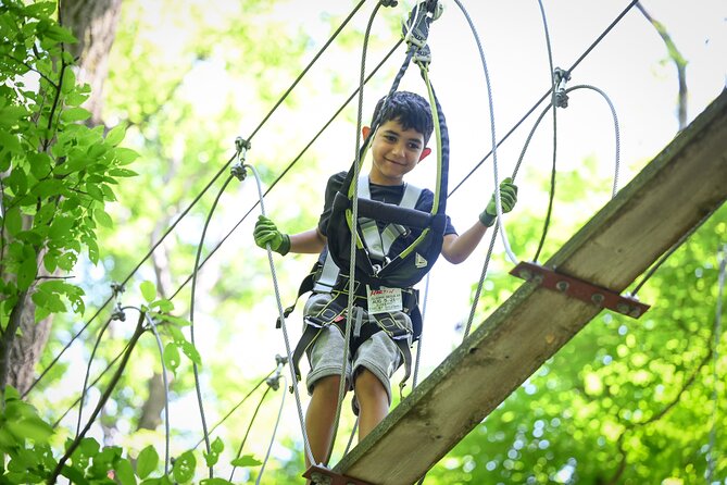 Aerial Adventure Park Admission - Key points at a glance