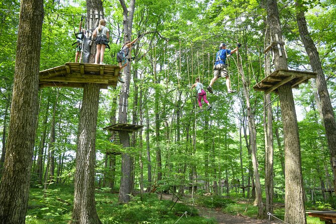 Aerial Adventure Park Admission - Green routes add length and confidence
