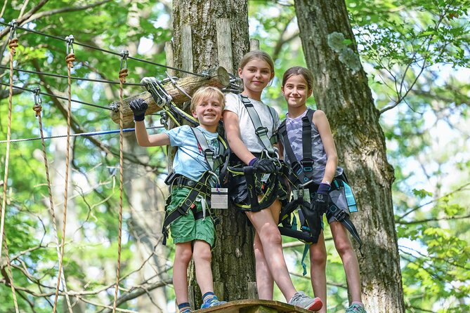 Aerial Adventure Park Admission - Yellow courses for a gentle start